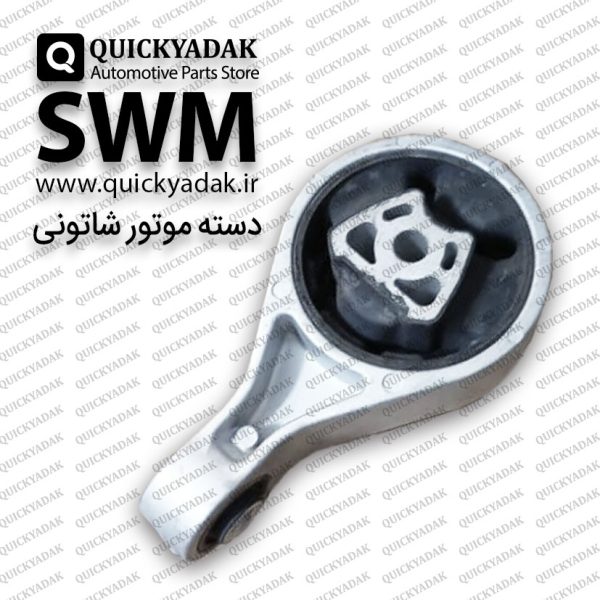 دسته موتور شاتونی SWM